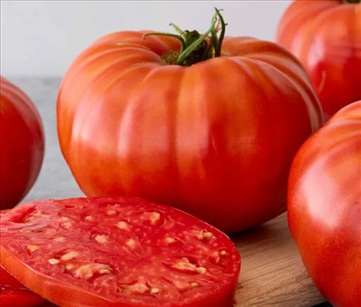 0030_20260111_1227_Burpees's Supersteak Tomato.jpg